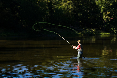 Casting on the Lower Kings